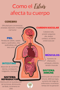Efectos del estrés en el cuerpo
