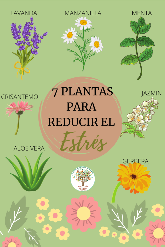 7 plantas que te ayudan a reducir el estrés | Psicología Integral Panamá